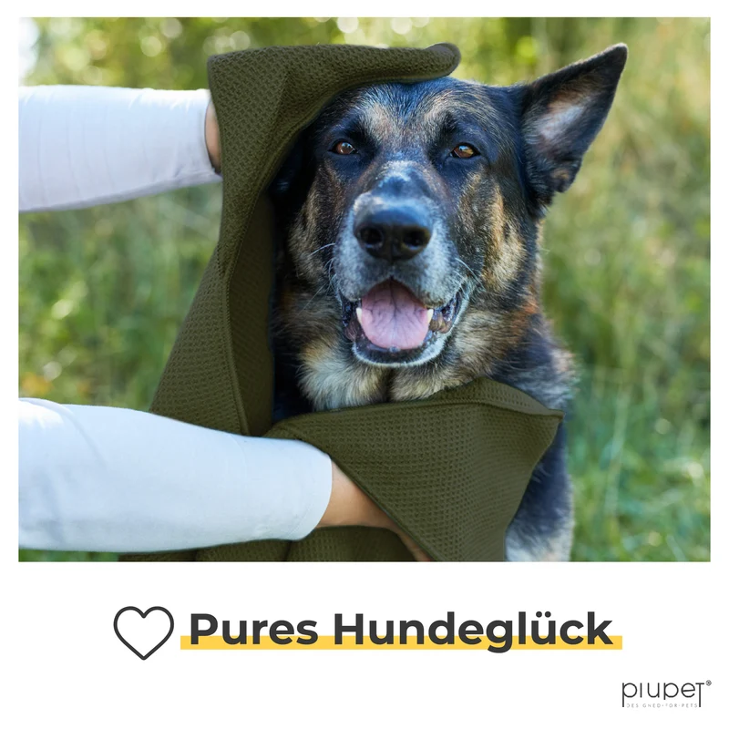Hundehandtuch "NAO"