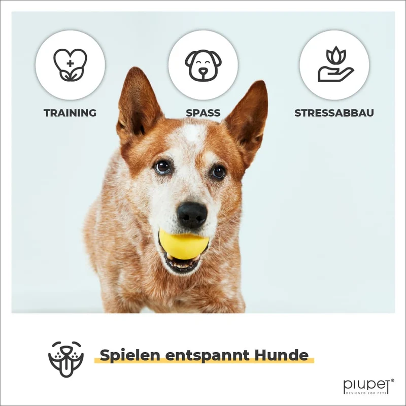 Hundeball-Set "LOKI"