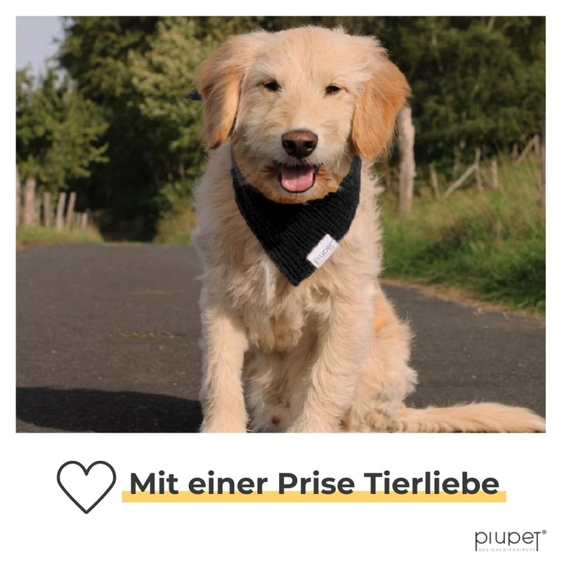 Hundehalstuch-Set "BRUNO"