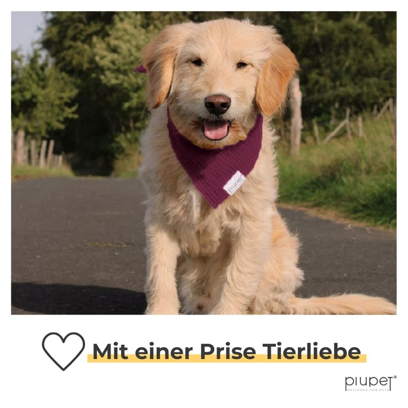 Hundehalstuch-Set "BRUNO"