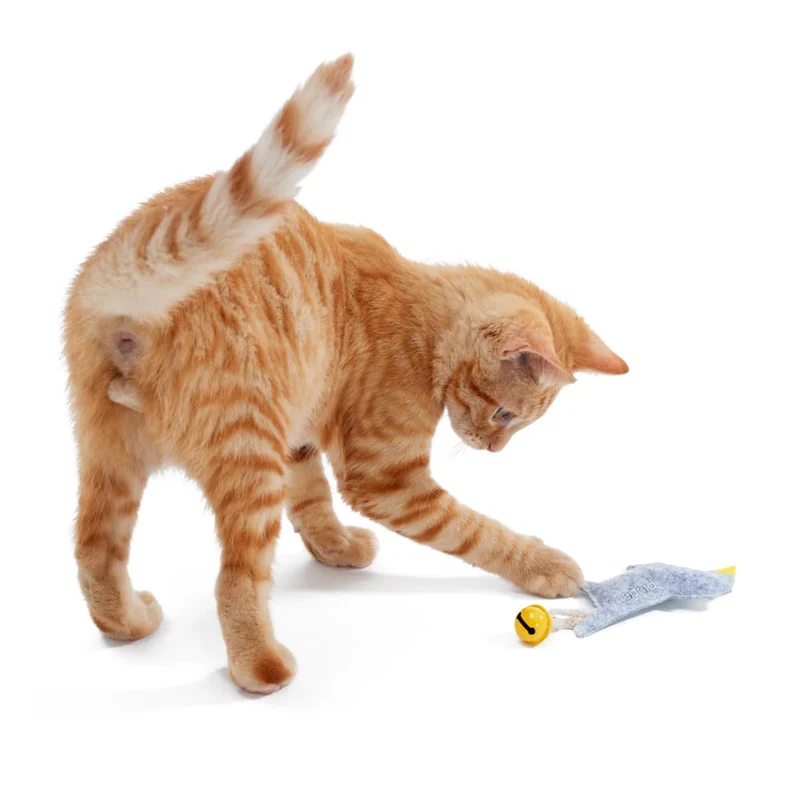 Katzenspielzeug "SIMBA"
