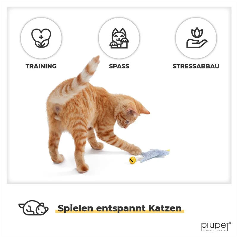 Katzenspielzeug "SIMBA"
