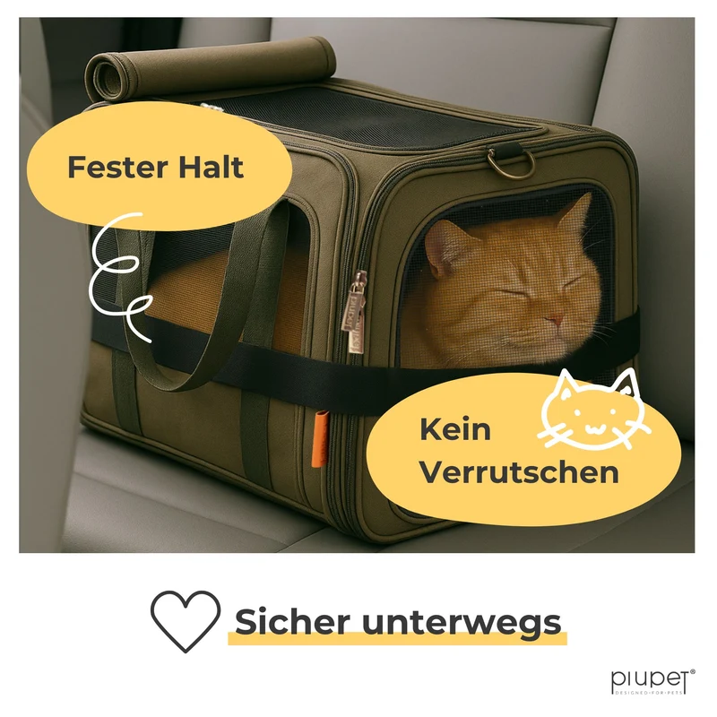 Transportbox "LOTTA"