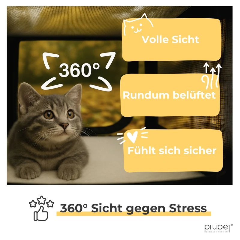 Transportbox "LOTTA"