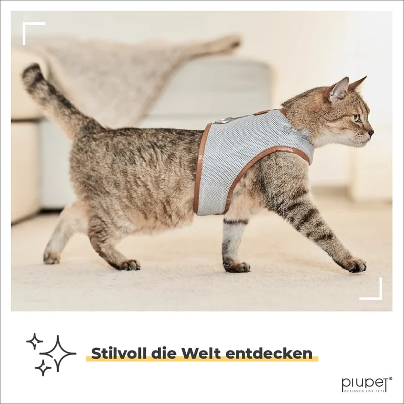 Katzengeschirr "FRITZ"