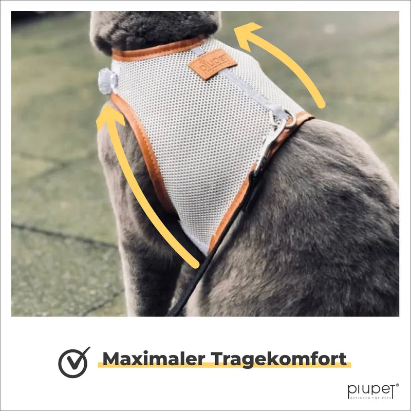 Katzengeschirr "FRITZ"