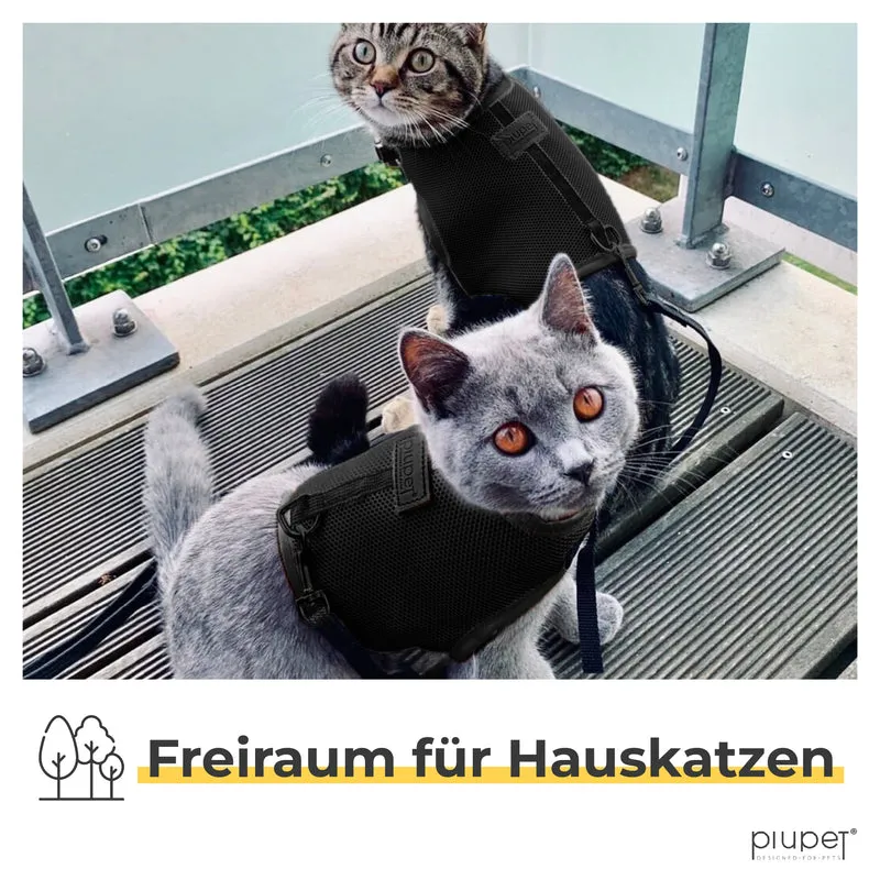 Katzengeschirr "FRITZ"
