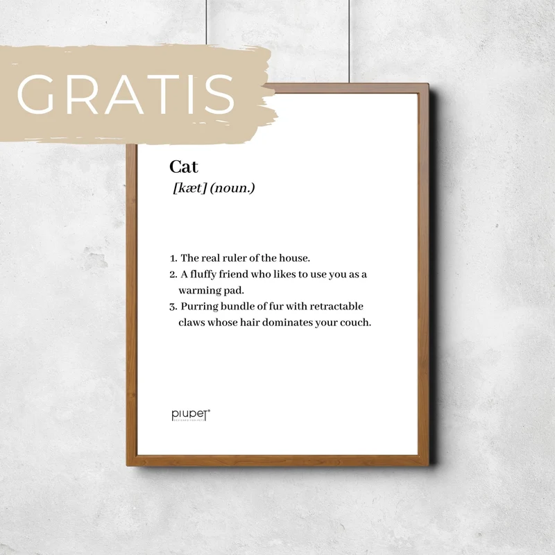 Poster-Datei: "Cat"