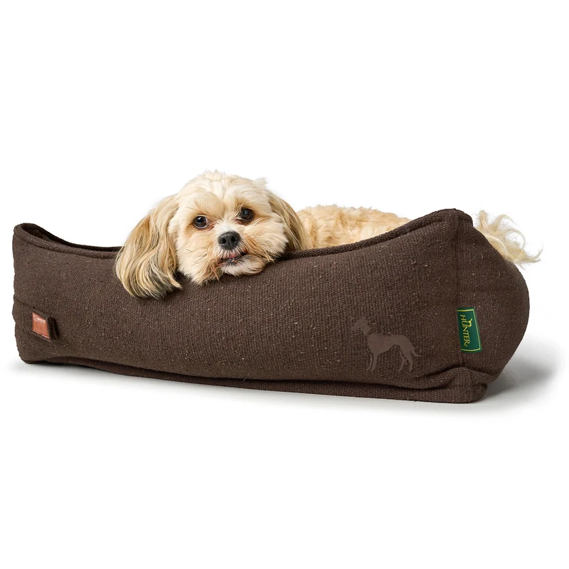 Recycling Hundesofa Belluno