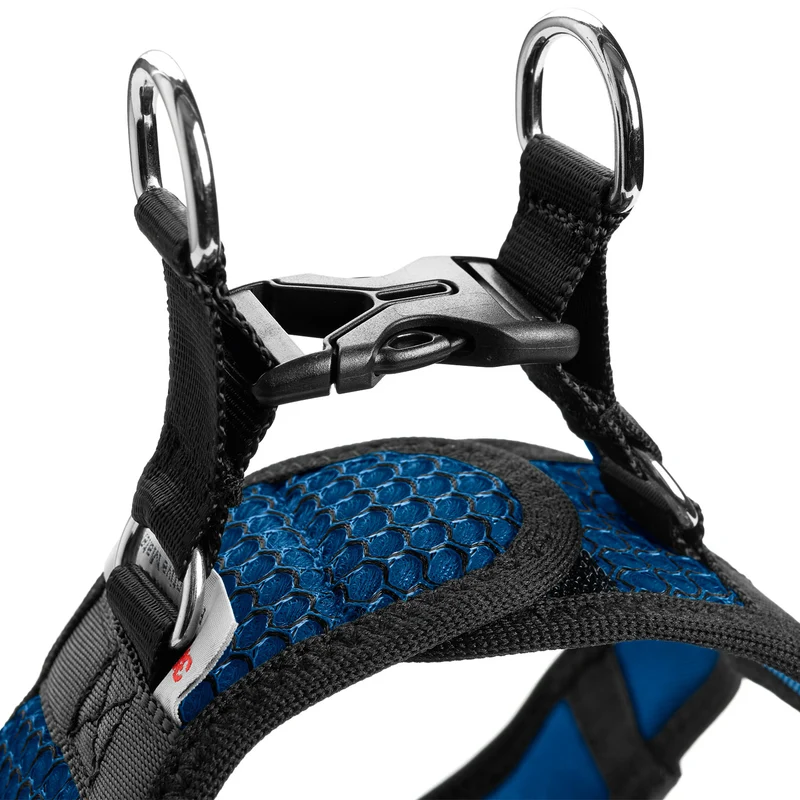HILO Set Geschirr & Leine | blau