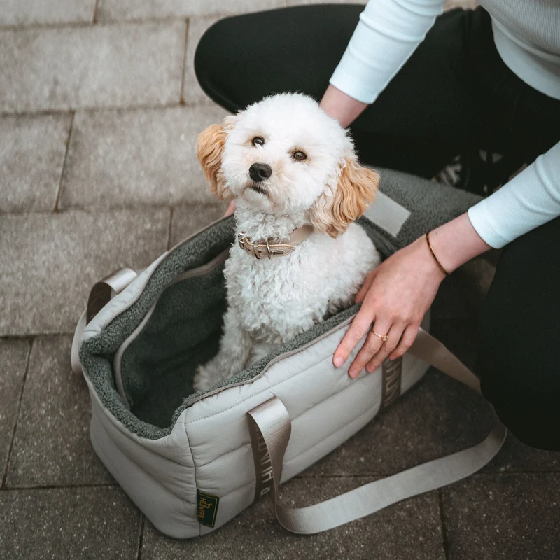 2-in-1 Hunde-Tragetasche und Decke Seoul