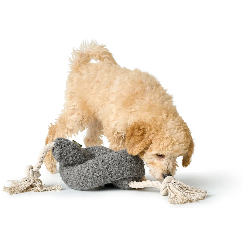 Hundespielzeug Madrid mit Tau