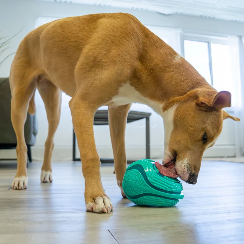 Leckerchen-Spender KONG® Licks Rewards