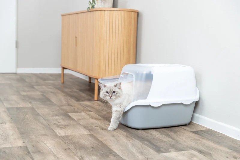 Katzentoilette Vico Open Top, mit Haube