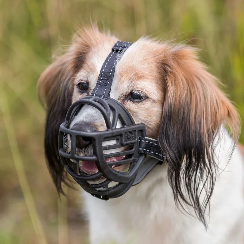 Muzzle Flex Maulkorb, Gummi
