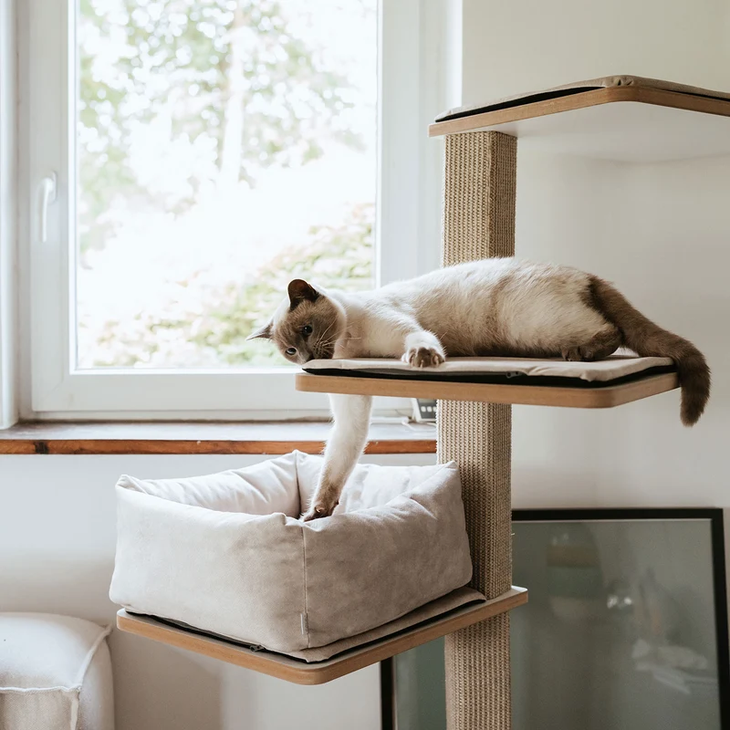 Katzenbett Dreamie