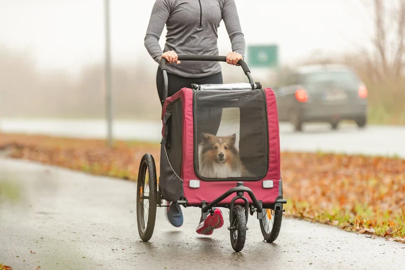 Jogger-Umbausatz für Fahrrad-Anhänger