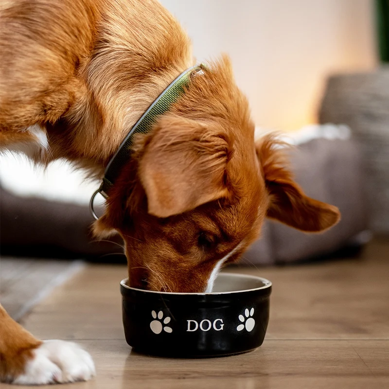 Hunde Keramiknapf „DOG“ – Stilvoll, zeitlos & funktional