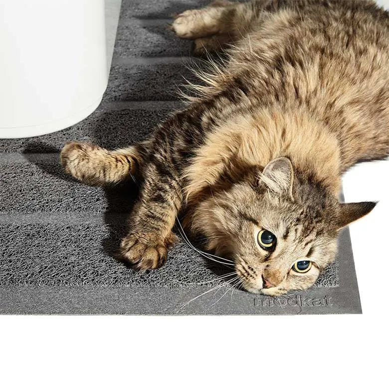 Litter Mat