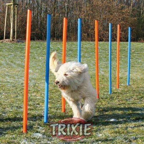Trixie Agility-Slalom-Set – Für Fitness, Spaß und eine starke Mensch-Hund-Bindung