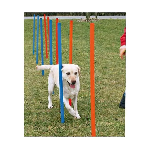 Trixie Agility-Slalom-Set – Für Fitness, Spaß und eine starke Mensch-Hund-Bindung