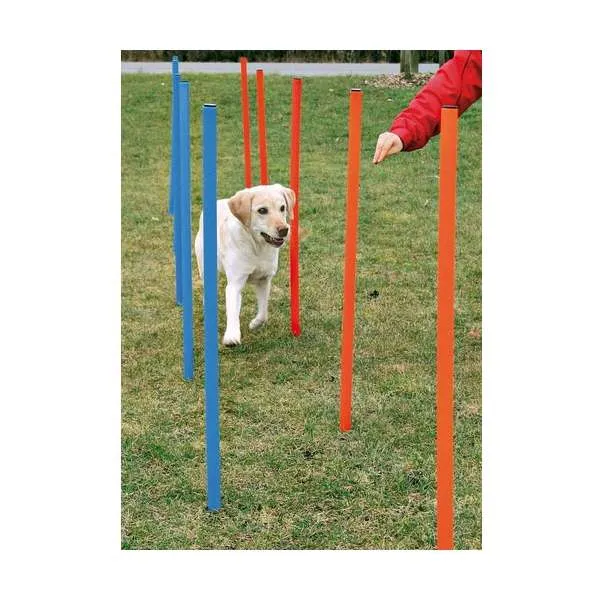 Trixie Agility-Slalom-Set – Für Fitness, Spaß und eine starke Mensch-Hund-Bindung
