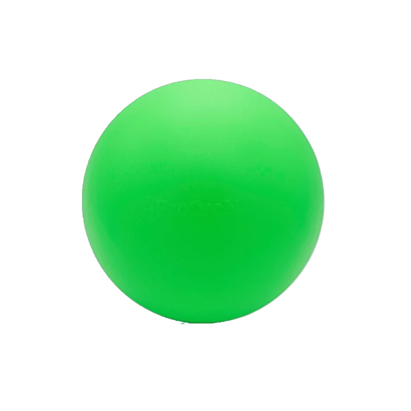 Treibball – Spiel, Sport und Köpfchen im kompakten Format