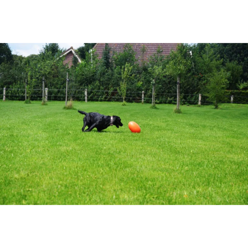 Dog Comets Pan-Stars Treibei – schwimmfähiges Spielzeug mit unvorhersehbarer Bewegung