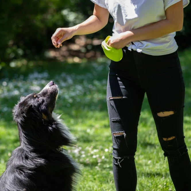 Snacktasche Easy – Hygienisch, praktisch, immer griffbereit