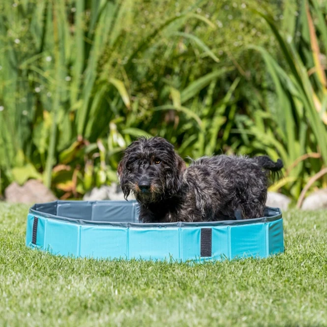 Trixie Hundepool – Abkühlung leicht gemacht