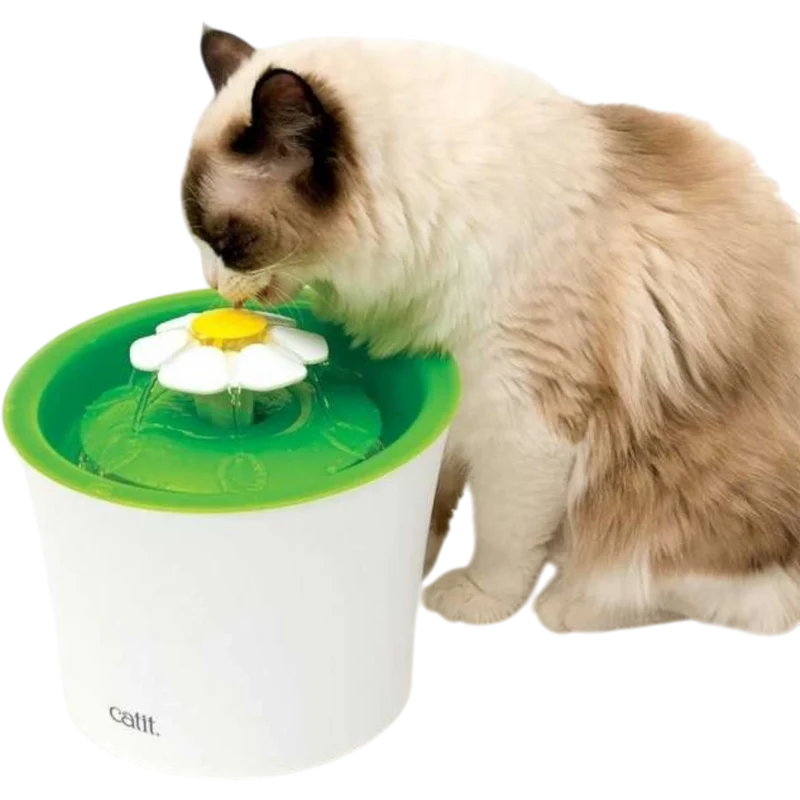 Catit Senses 2.0 Blumentrinkbrunnen – Spielerisch zur gesunden Wasseraufnahme