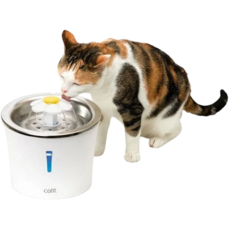 Catit Blumentrinkbrunnen mit Edelstahleinsatz – Hygienisch, ansprechend und ideal für wählerische Katzen