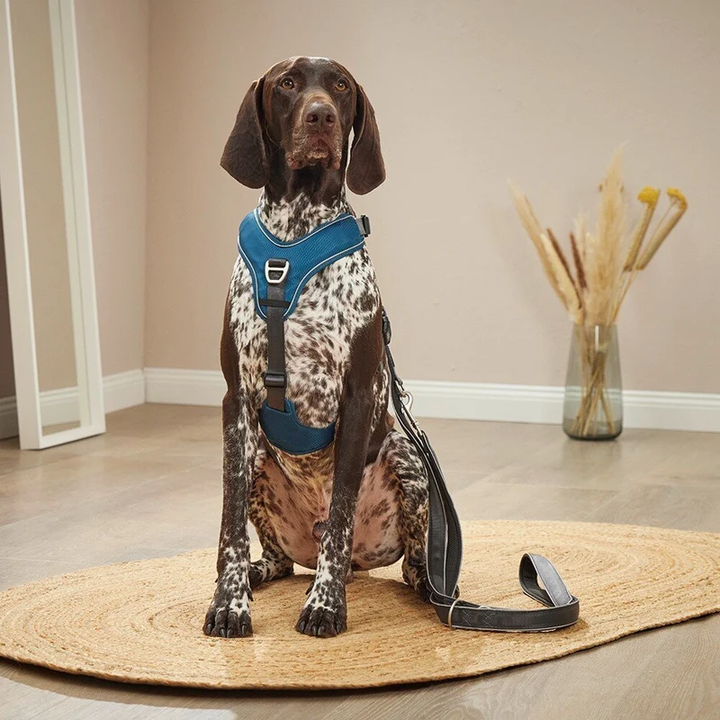 Wolters Active Pro Comfort Hundegeschirr