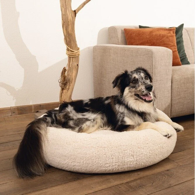 Orthopädisches Hundebett Jaxx, rund