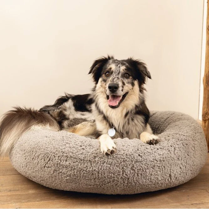 Orthopädisches Hundebett Jaxx, rund