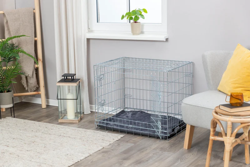Hundebox Home