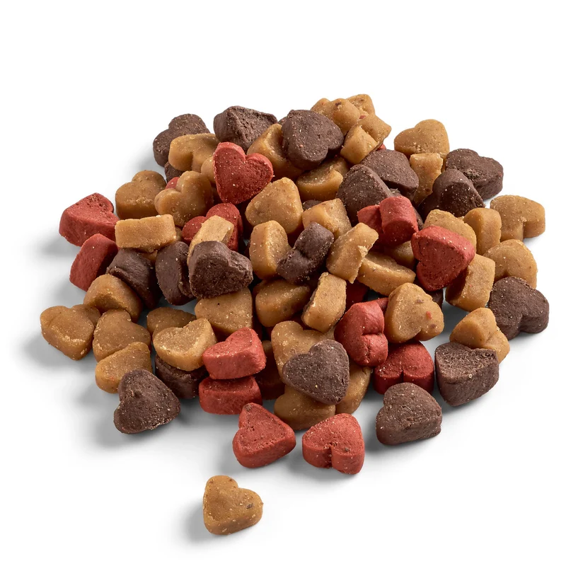 Hundesnack Training