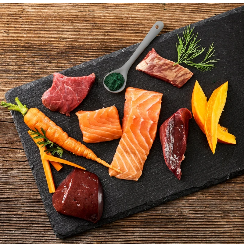 Fleischeslust Dog - Lachs mit Rind, Karotte, Kürbis & Spirulina