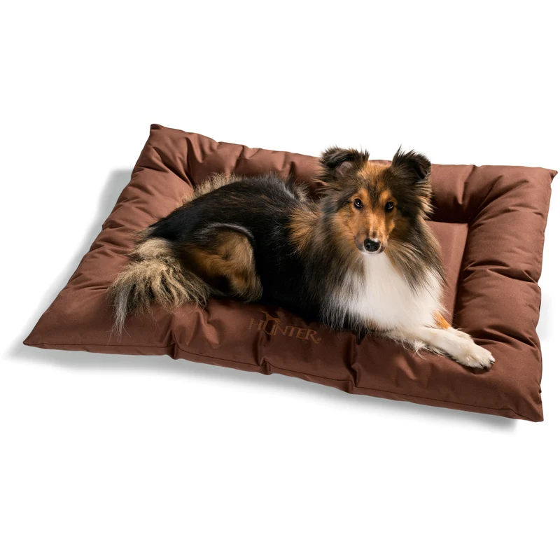 Hundebett Gent Antibakteriell