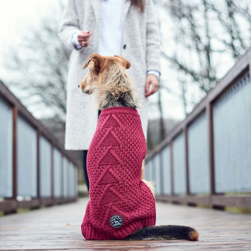 Hundepullover Malmö