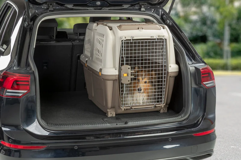 Transportbox Skudo