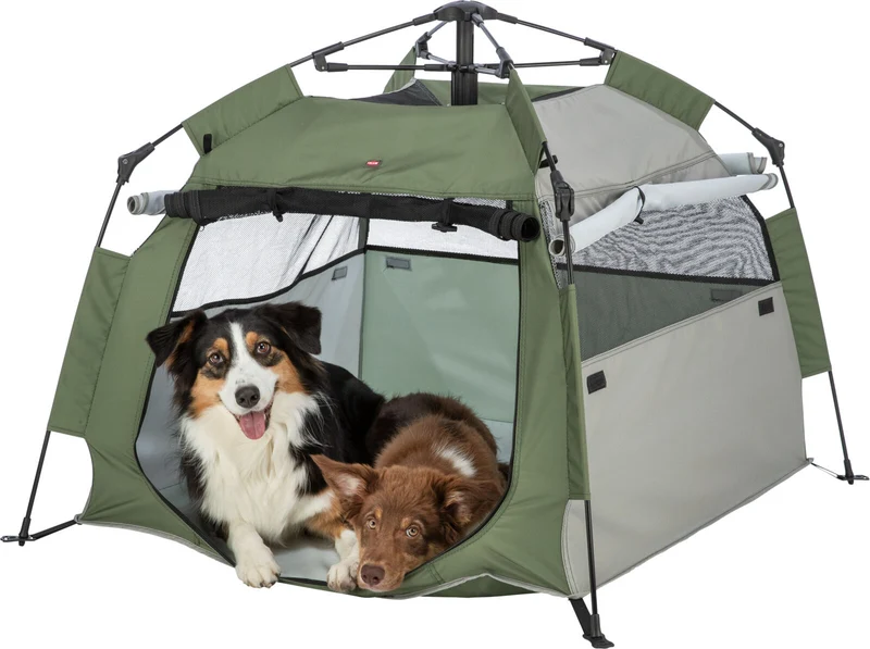 Pop-Up Hundezelt mit Mesh für schnellen Auf- und Abbau