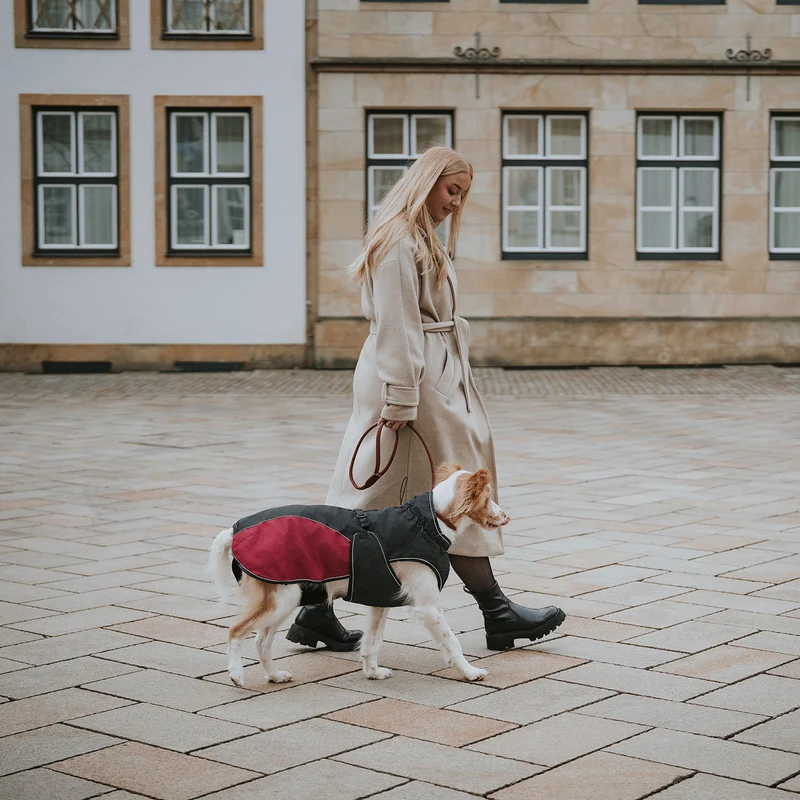 Hundemantel Uppsala Cozy