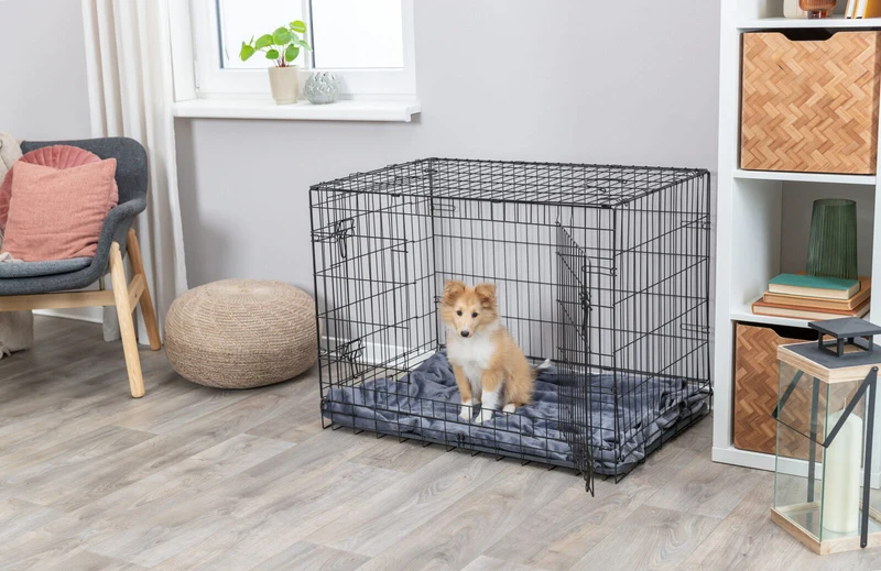 Hundebox Home