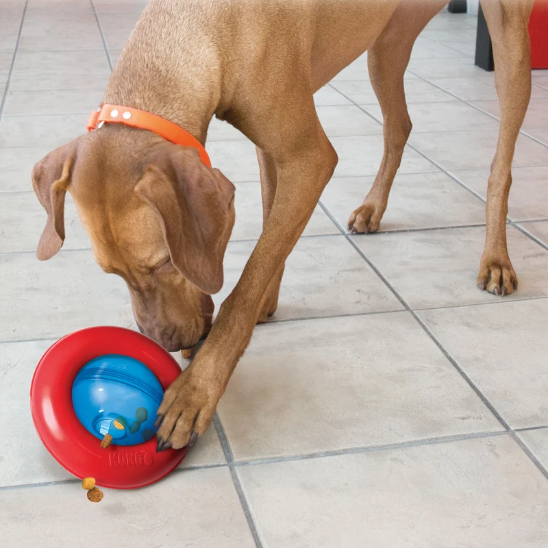 Hundespielzeug KONG® Gyro