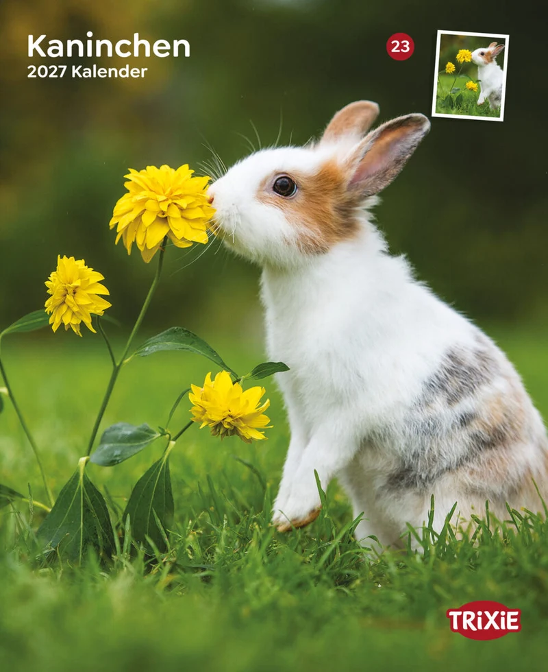 Kalender Kaninchen