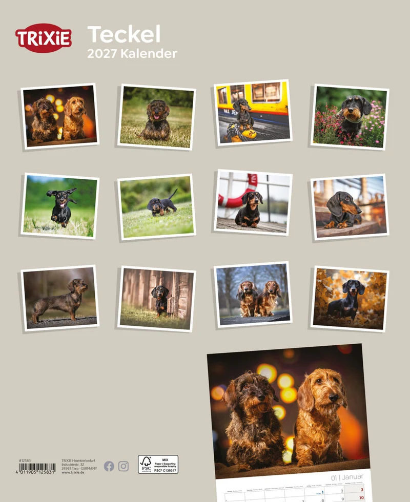 Kalender Teckel