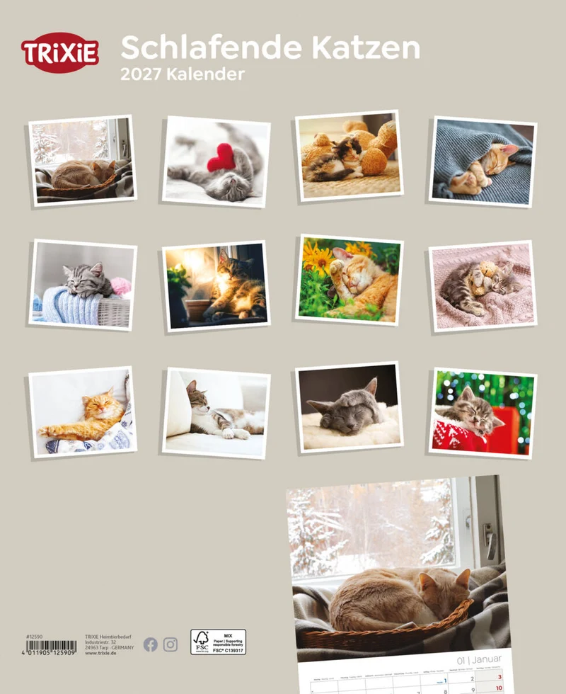 Kalender Schlafende Katzen