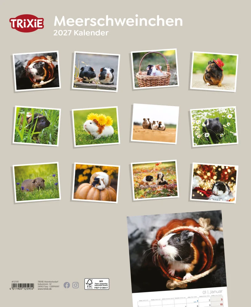 Kalender Meerschweinchen