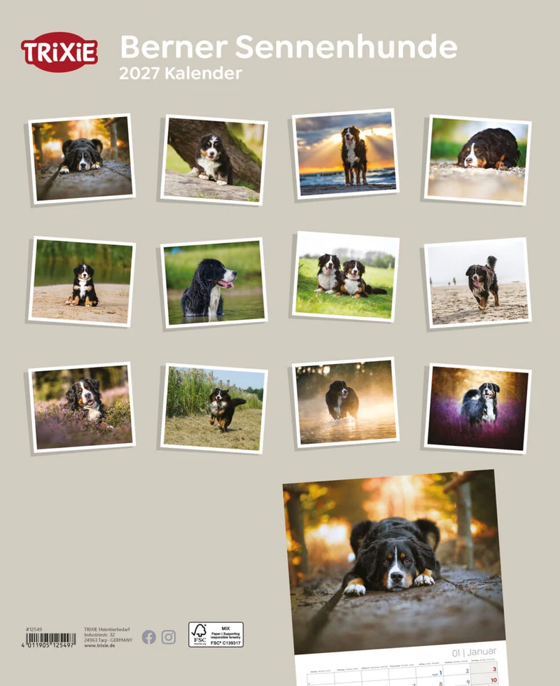 Kalender Berner Sennenhunde